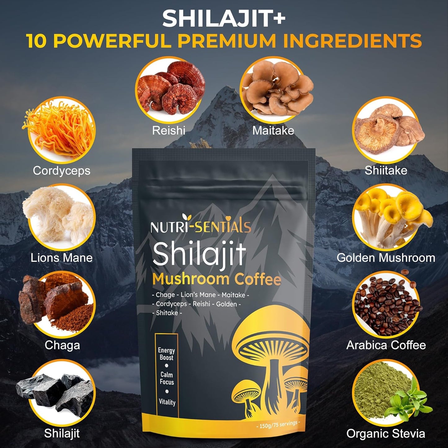 Shilajit Mushroom Coffee Powder, Pure Himalayan Shilajit Instant Coffee Mix with Chaga, Cordyceps and Lion’s Mane, Superfood Blend for Focus and Energy Support, No Gluten or Artificial Flavors