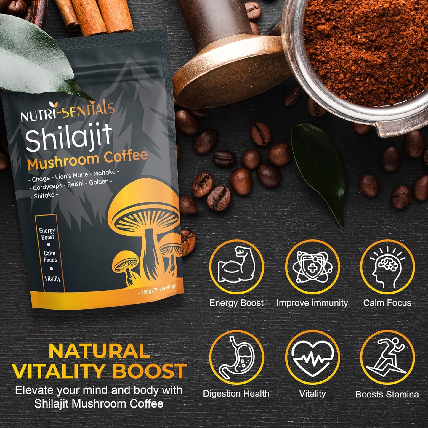 Shilajit Mushroom Coffee Powder, Pure Himalayan Shilajit Instant Coffee Mix with Chaga, Cordyceps and Lion’s Mane, Superfood Blend for Focus and Energy Support, No Gluten or Artificial Flavors